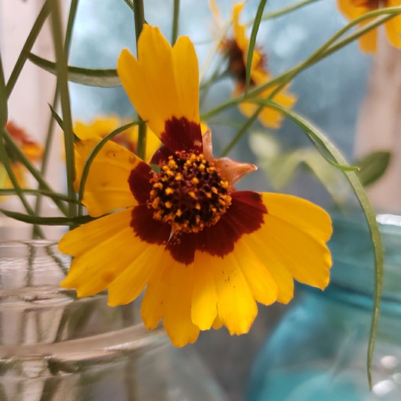funkyflower93